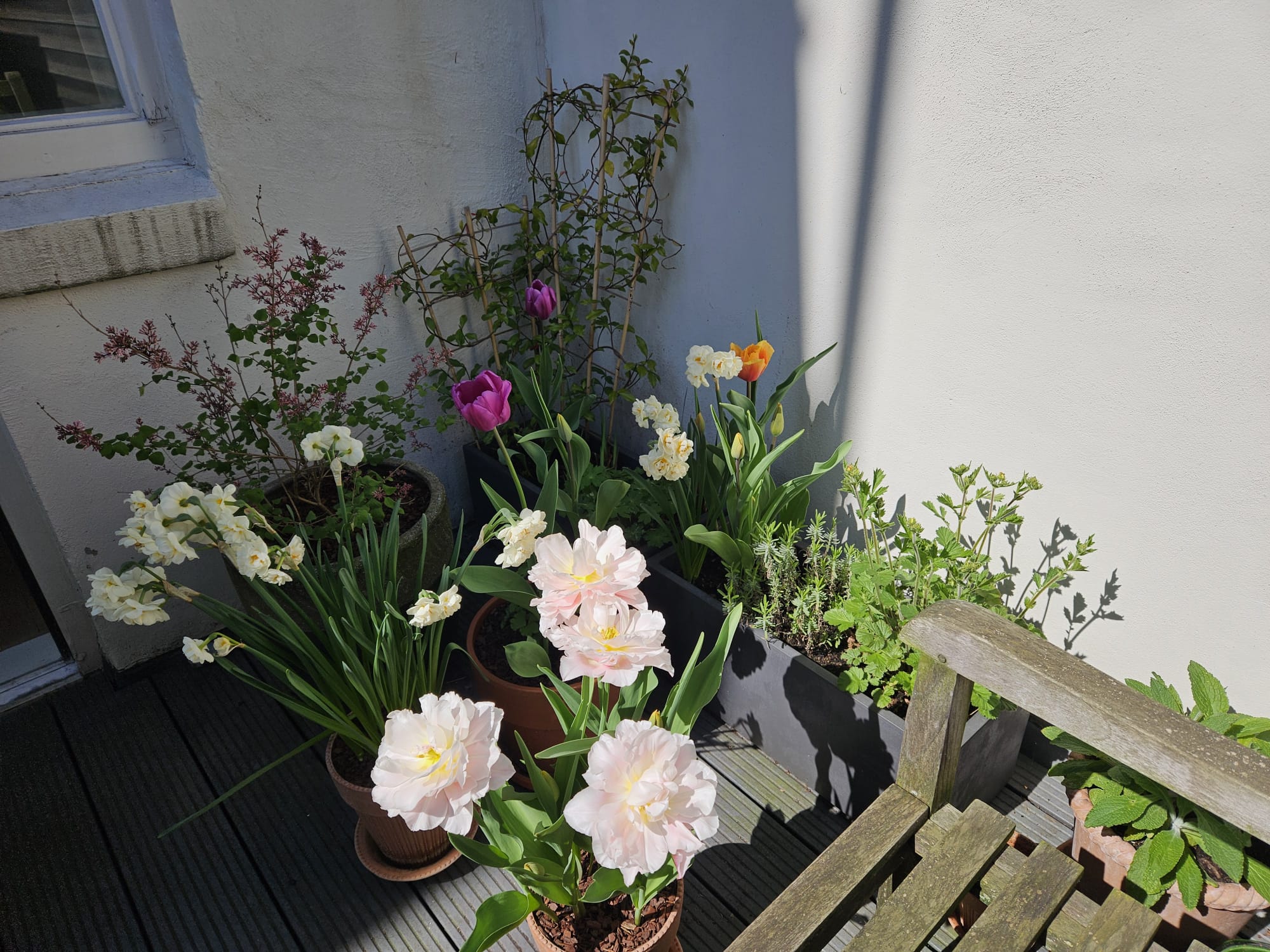 Afbeelding van WhatsApp op 2025-10-26 om 08.26.25_97aef7d8