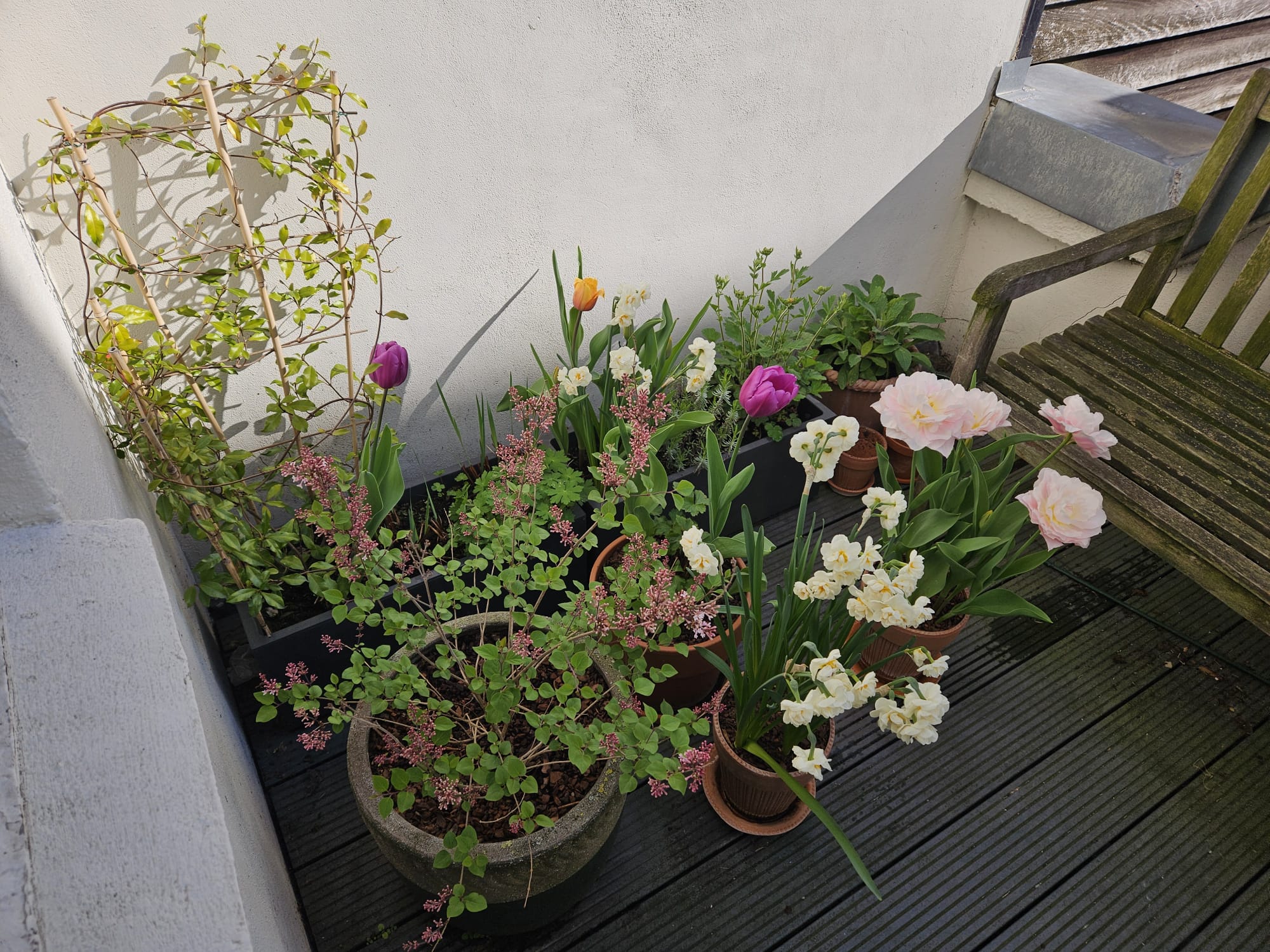 Afbeelding van WhatsApp op 2025-10-26 om 08.26.25_d958fd5e