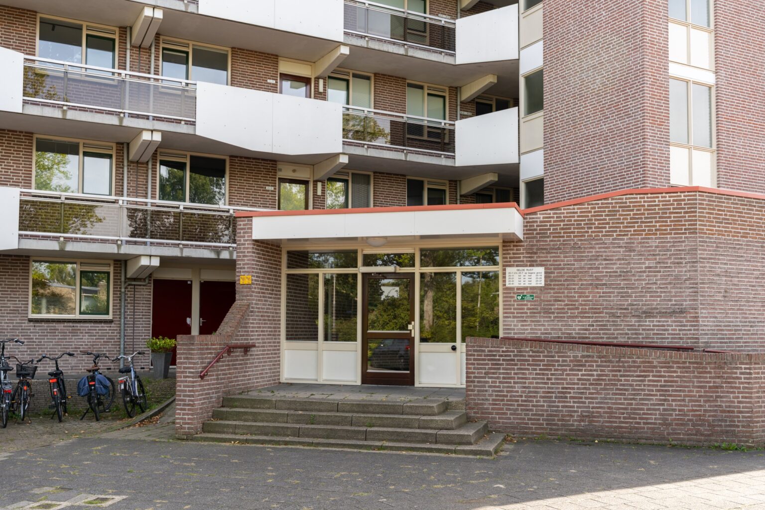 Selde-Rust-25-12-03