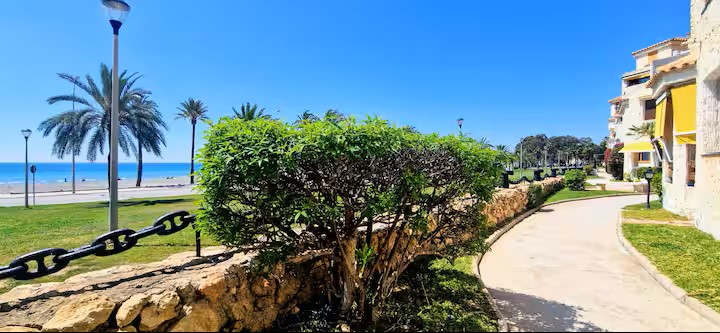 Tuin van het complex